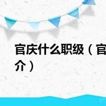 官庆什么职级(官庆简介)
