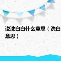 说洗白白什么意思(洗白白什么意思)