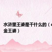 水浒里王婆是干什么的(qq水浒金王婆)