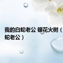 我的白蛇老公 银花火树(我的白蛇老公)
