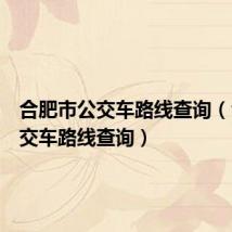 合肥市公交车路线查询(合肥公交车路线查询)