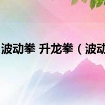 波动拳 升龙拳（波动拳）
