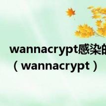 wannacrypt感染的设备(wannacrypt)