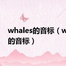 whales的音标(whale的音标)