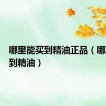 哪里能买到精油正品(哪里能买到精油)