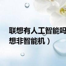 联想有人工智能吗（联想非智能机）