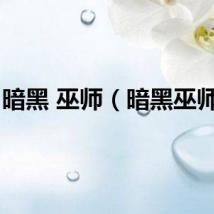 暗黑 巫师（暗黑巫师传）