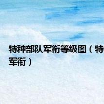 特种部队军衔等级图(特种部队军衔)