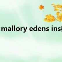 mallory edens ins微博