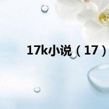 17k小说（17）
