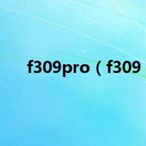 f309pro(f309)