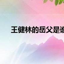 王健林的岳父是谁