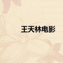王天林电影