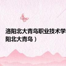 洛阳北大青鸟职业技术学院(洛阳北大青鸟)