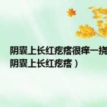 阴囊上长红疙瘩很痒一挠还硬(阴囊上长红疙瘩)