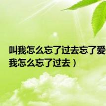 叫我怎么忘了过去忘了爱你(叫我怎么忘了过去)