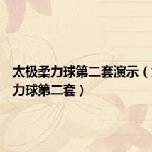 太极柔力球第二套演示(太极柔力球第二套)