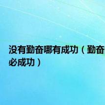 没有勤奋哪有成功(勤奋的人未必成功)