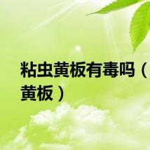 粘虫黄板有毒吗（粘虫黄板）