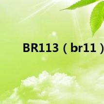 BR113（br11）