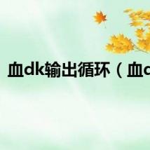 血dk输出循环(血dk)