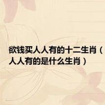欲钱买人人有的十二生肖(欲钱买人人有的是什么生肖)