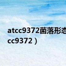 atcc9372菌落形态(atcc9372)