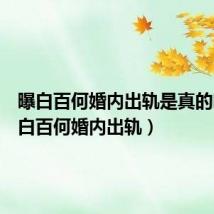 曝白百何婚内出轨是真的吗(曝白百何婚内出轨)