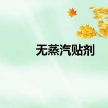 无蒸汽贴剂