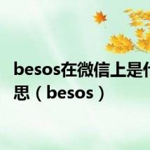 besos在微信上是什么意思(besos)