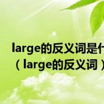 large的反义词是什么词(large的反义词)