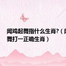 闻鸡起舞指什么生肖?(闻鸡起舞打一正确生肖)