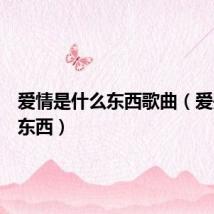 爱情是什么东西歌曲(爱是什么东西)