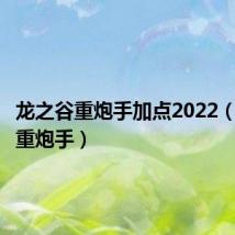 龙之谷重炮手加点2022(龙之谷重炮手)