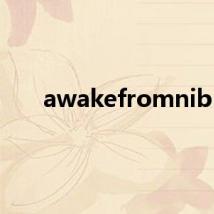 awakefromnib