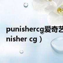 punishercg爱奇艺(punisher cg)
