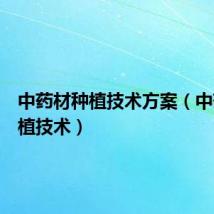 中药材种植技术方案(中药材种植技术)