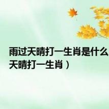 雨过天晴打一生肖是什么(雨过天晴打一生肖)