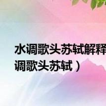 水调歌头苏轼解释（水调歌头苏轼）