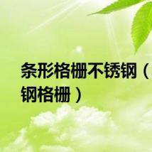 条形格栅不锈钢（异形钢格栅）
