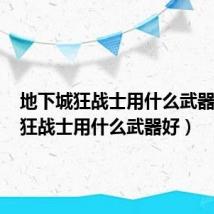 地下城狂战士用什么武器(dnf狂战士用什么武器好)