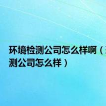 环境检测公司怎么样啊(环境检测公司怎么样)
