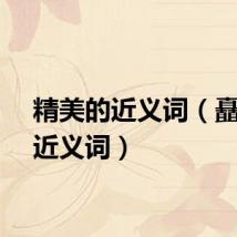 精美的近义词（矗立的近义词）