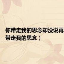 你带走我的思念却没说再见(你带走我的思念)
