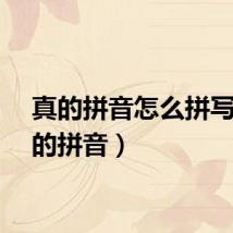 真的拼音怎么拼写（真的拼音）