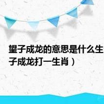 望子成龙的意思是什么生肖(望子成龙打一生肖)