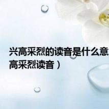 兴高采烈的读音是什么意思(兴高采烈读音)