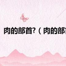 肉的部首?（肉的部首）