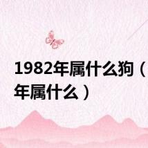 1982年属什么狗(1982年属什么)