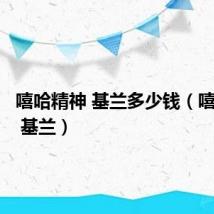 嘻哈精神 基兰多少钱(嘻哈精神 基兰)